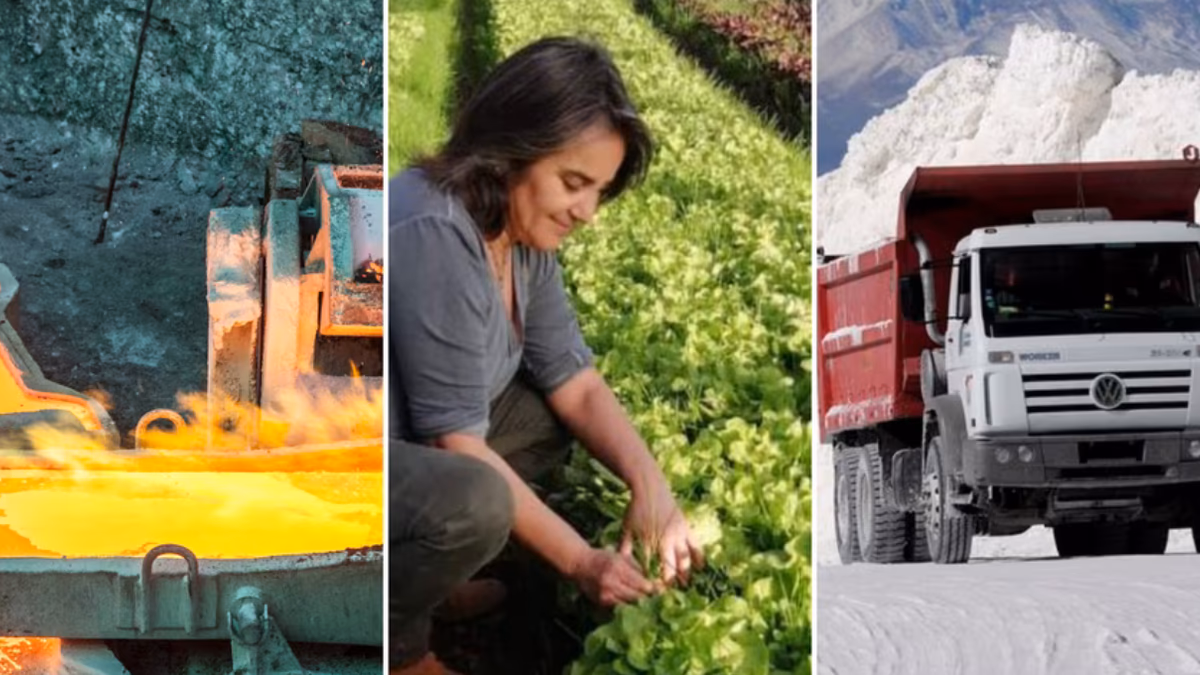 Cobre, litio, alimentos y más: América Latina tiene todo para ser una superpotencia de materias primas según The Economist