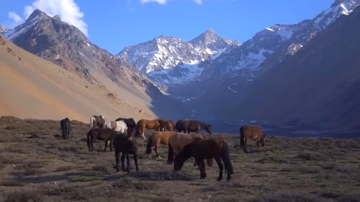 Codelco cede 24 mil hectáreas en el Cajón del Maipo para su protección
