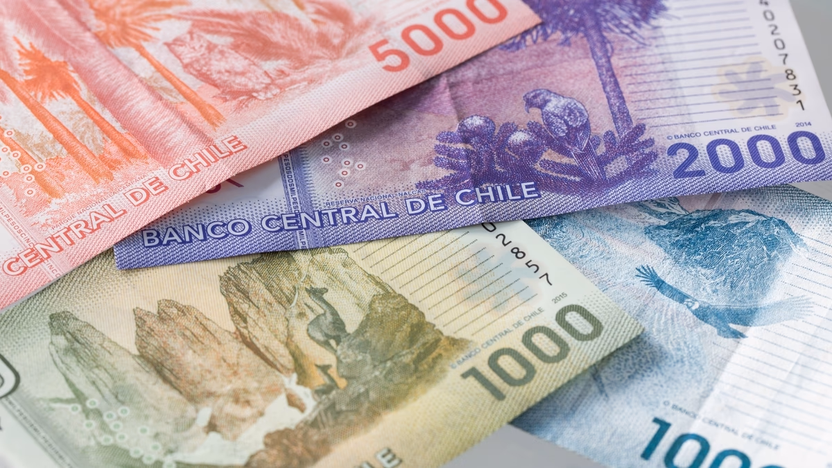 ¿Cómo acceder a los beneficios del Subsistema Chile Seguridades y Oportunidades?