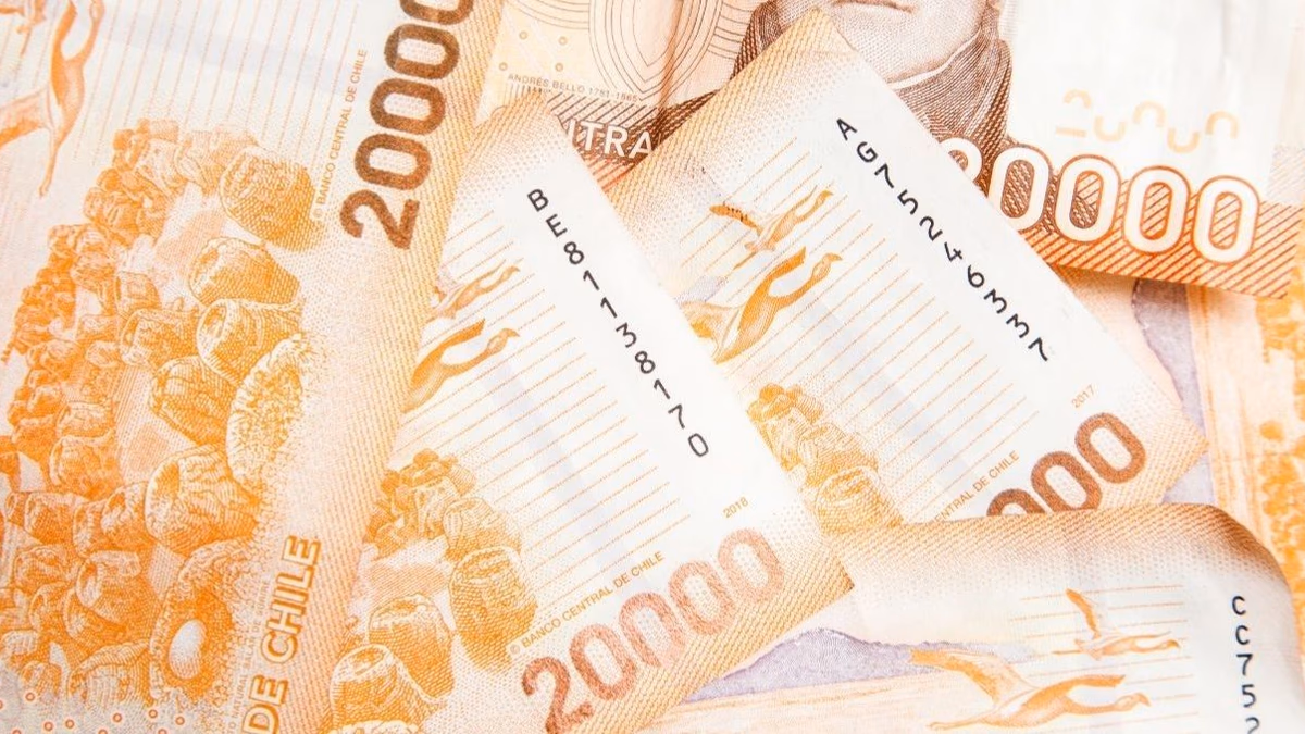 Cómo postular al bono de $224.000 que entrega el IPS a personas con discapacidad