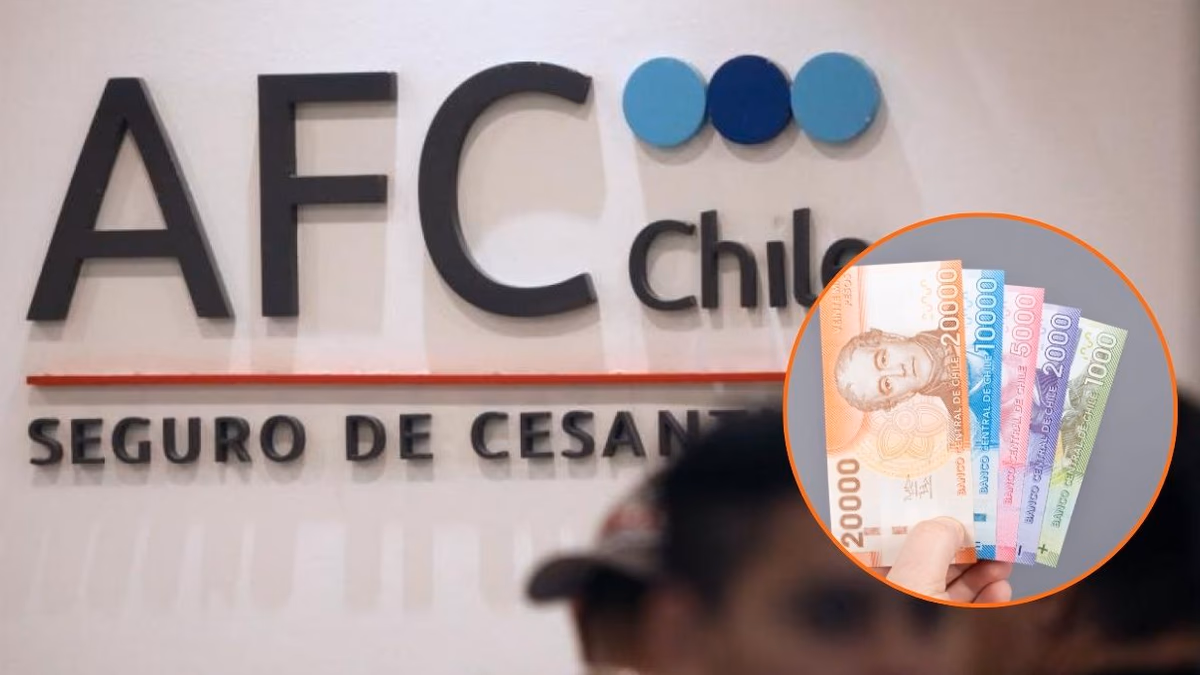¿Cómo retirar el 100% del Seguro de Cesantía? Revisa en qué casos es posible hacerlo