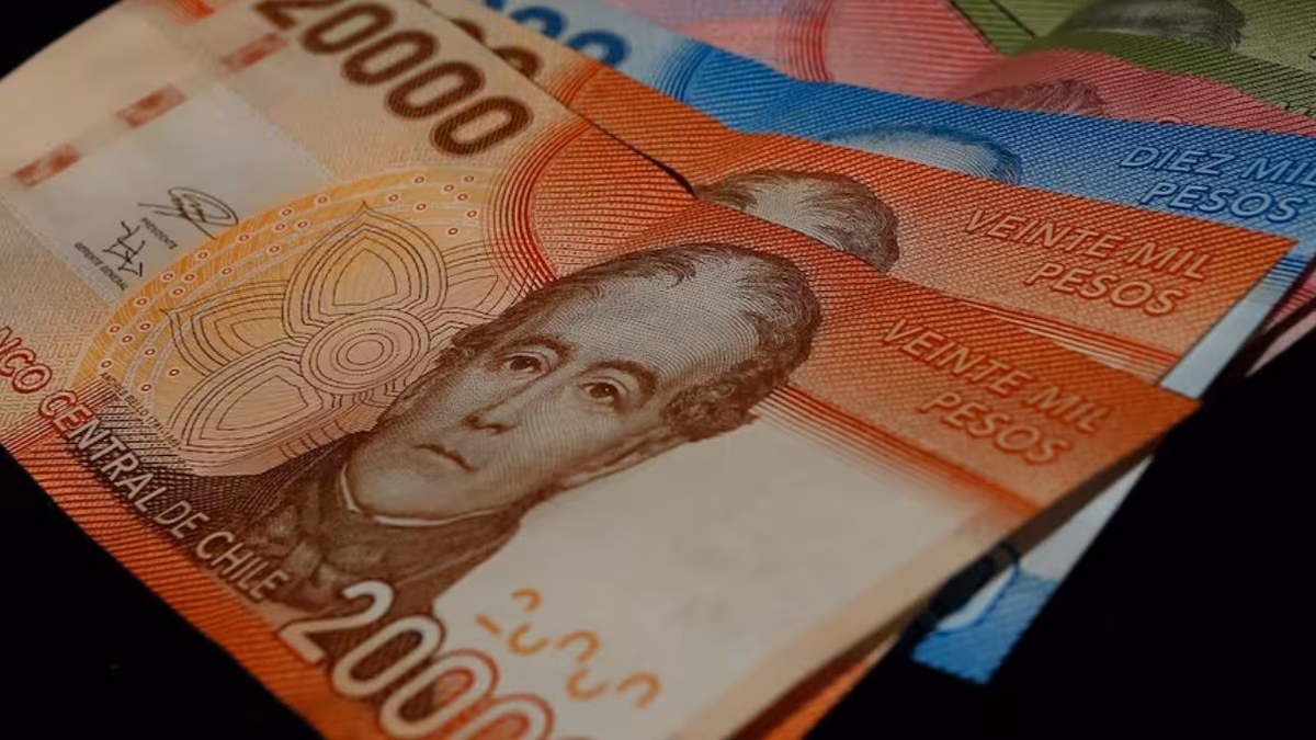 Consulta con tu RUT si accedes al bono de $292.275 que entrega el IPS en abril