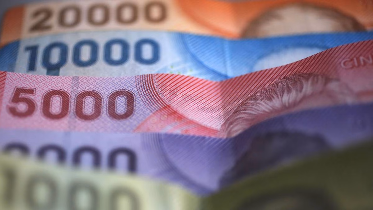 Consulta con tu RUT si puedes recibir $450.000 del Estado de Chile mediante el Bono Protección