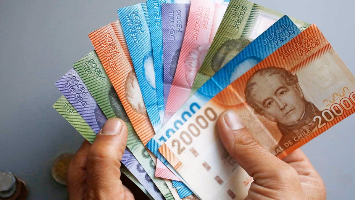 Consulta si tienes pagos pendientes de hasta $570 mil con tu RUT