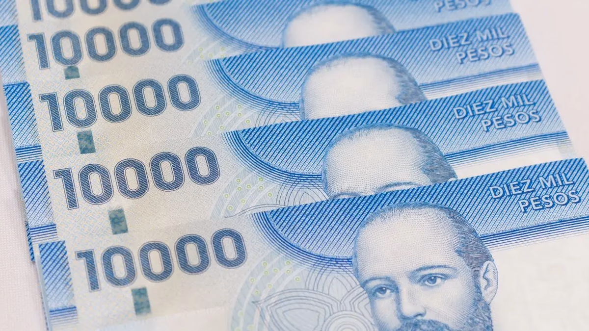 Consultar PGU con RUT: 2 datos que pide el sistema y las 3 vías oficiales para confirmarlo
