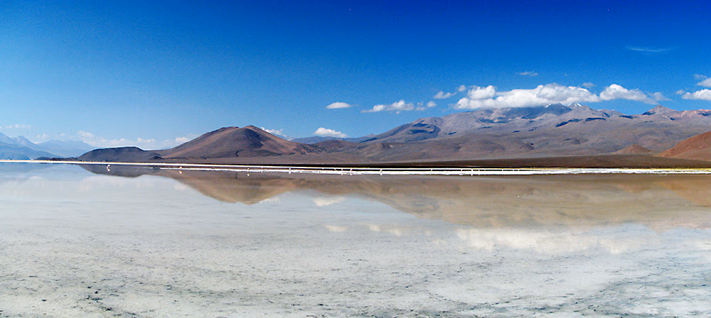 Corte de Antofagasta acoge recurso de comunidad quechua y ordena a empresa minera paralizar explotación en salar de Ascotán