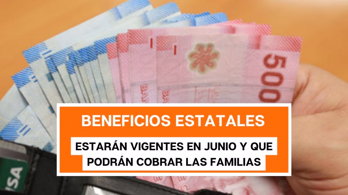 De bonos a subsidios: 5 beneficios estatales que estarán vigentes en junio y que podrán cobrar las familias