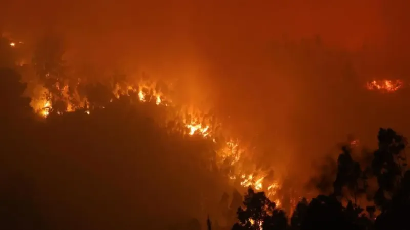 Decretan toque de queda para las comunas de Penco, Nacimiento y Laja por incendios forestales