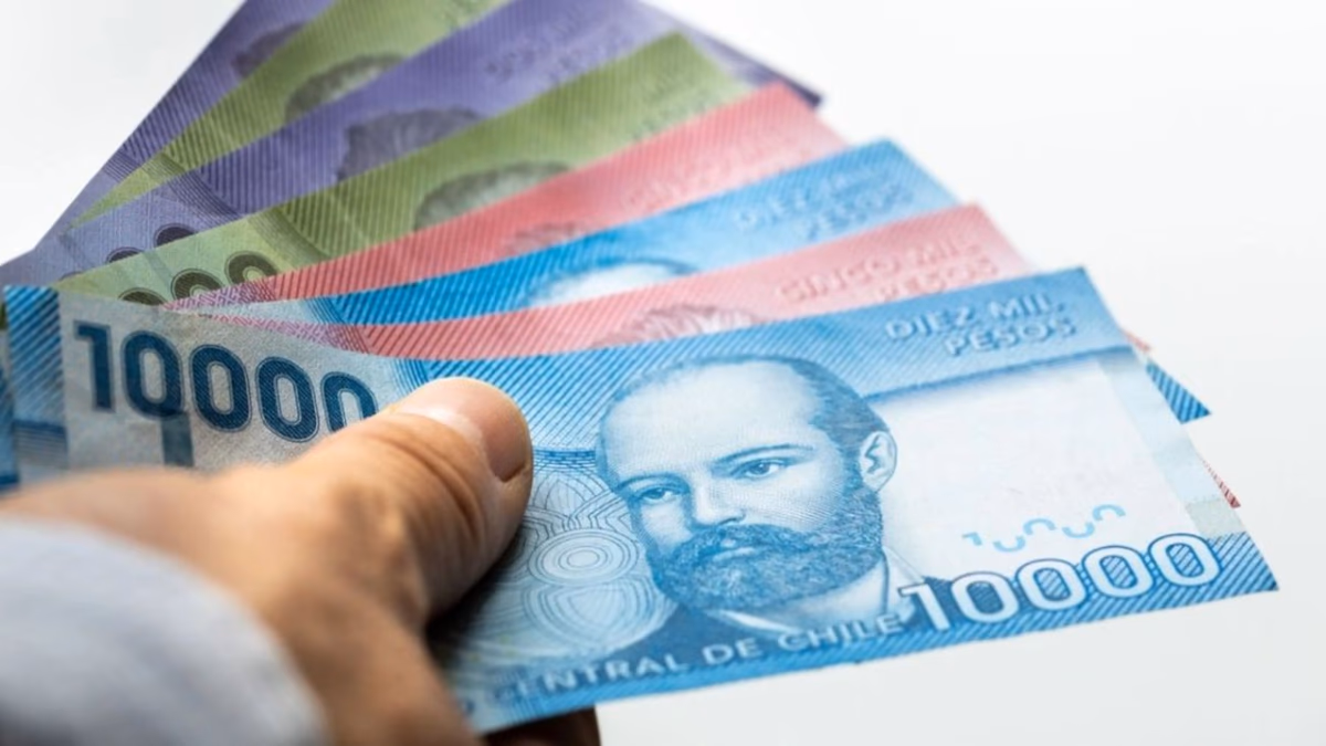 Descubre cómo acceder a beneficios estatales en Chile según tu clasificación en el Registro Social de Hogares