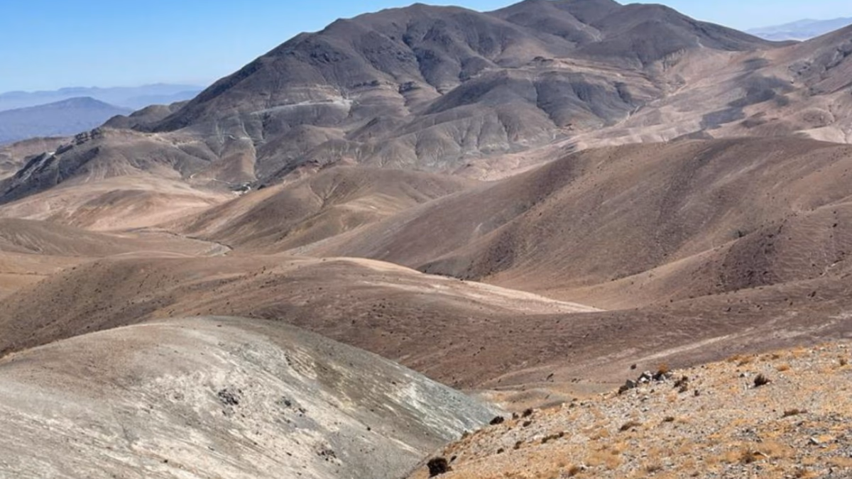Descubrimiento de cobre de alto grado en proyecto prometedor en Atacama.