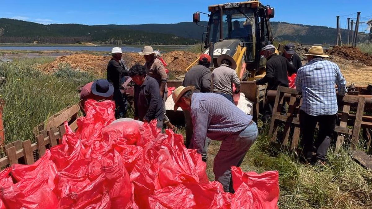 División El Teniente adquiere 500 toneladas de sal a Cooperativa de Salineros de Lo Valdivia