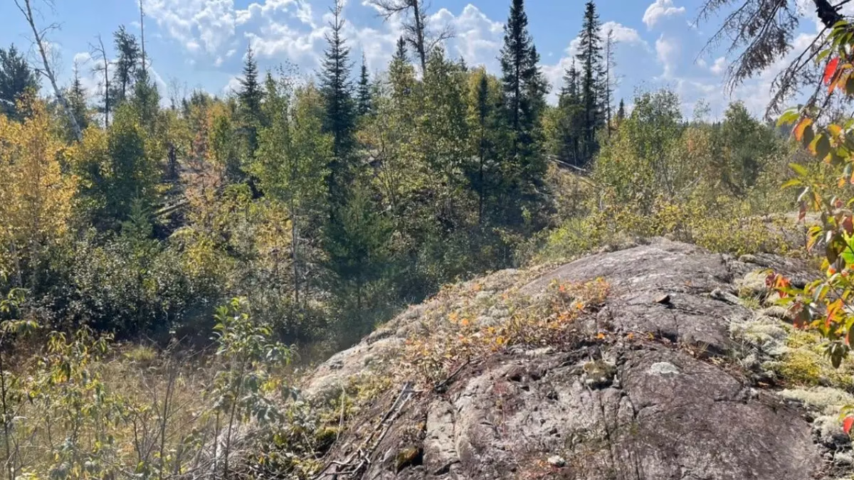 Dryden Gold informa de 6,4 g/t de oro sobre 3,30 metros incluyendo 153,10 g/t de oro sobre 1,00 metros en una nueva estructura de muro de alta calidad en Pearl