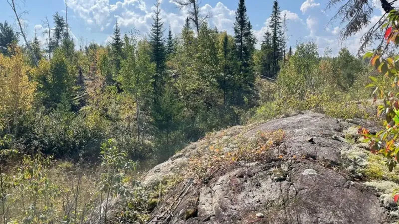 Dryden Gold informa de un aviso de recarga directa de Centerra Gold y destaca los planes de exploración 2026