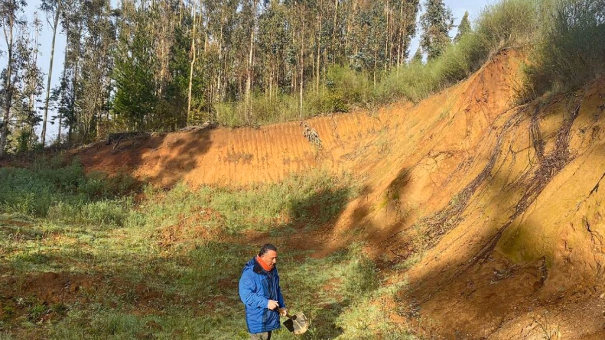 Dueña de proyecto de Tierras Raras en Penco pierde la mitad de su valor por traspié ambiental