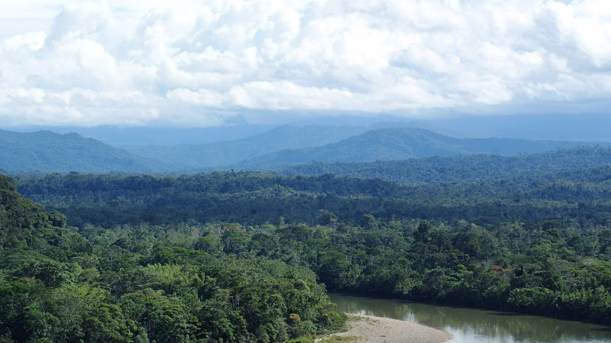 Ecuador da un Giro: Prefiere Proteger la Amazonia Sobre la Explotación Petrolera y Minera