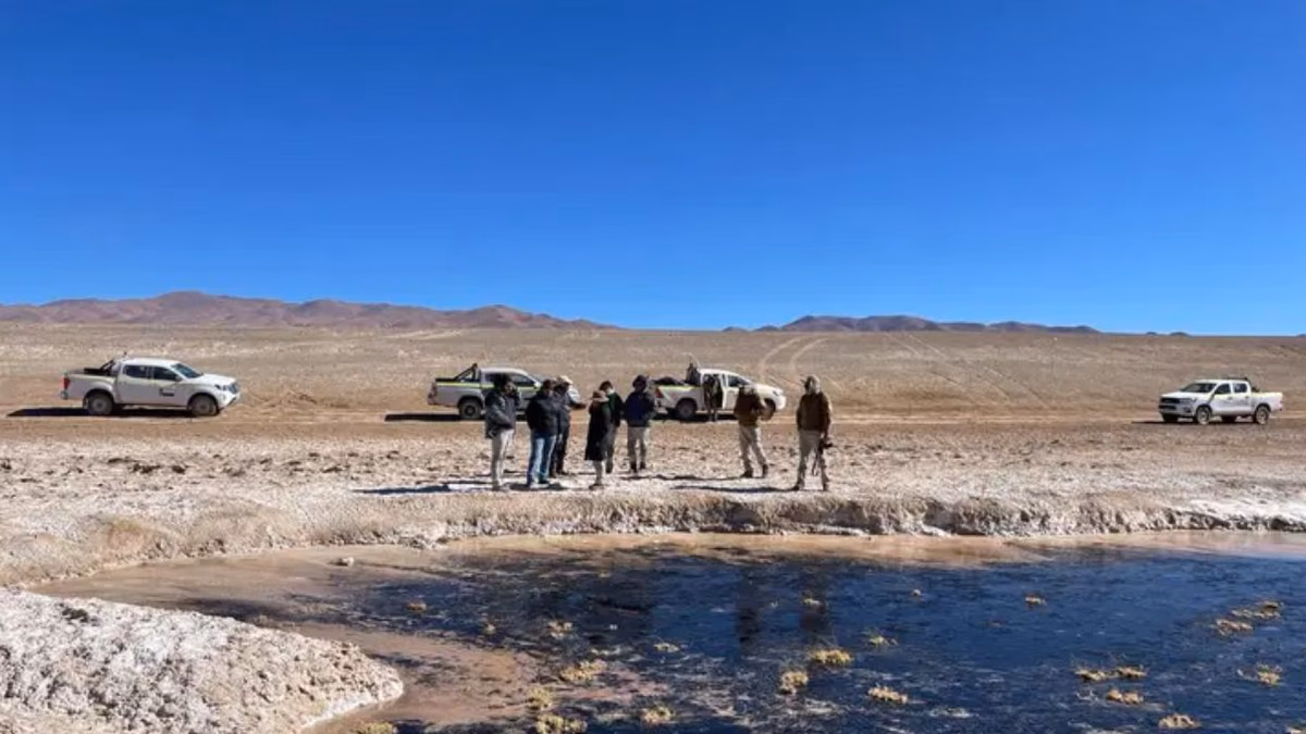 El CDE demanda a minera Quiborax por daño ambiental en Salar de Surire