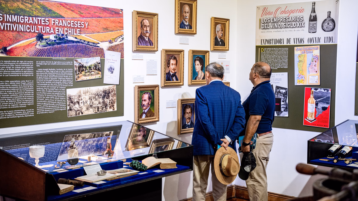“El Espíritu del Vino” sigue sorprendiendo a los visitantes en Sala de Arte Collahuasi