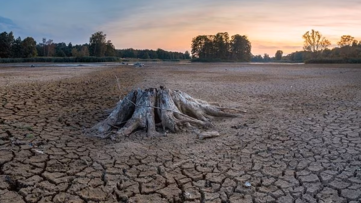 El futurista proyecto que combate la crisis hídrica ahorrando un 30% de agua