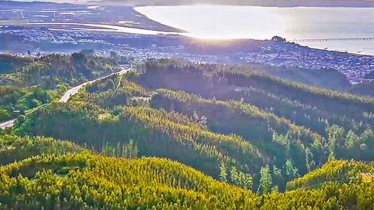 El interés de Rolls Royce en proyecto de Tierras Raras en Penco: “Es importante para el mundo”