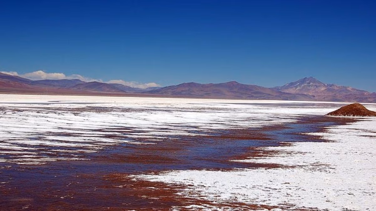 El próximo paso de Codelco en el litio del salar de Maricunga: buscar un socio