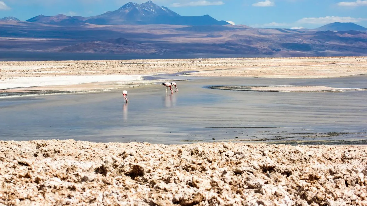 “El salar de Atacama es un condenado a muerte”: Atacameños presentan ...