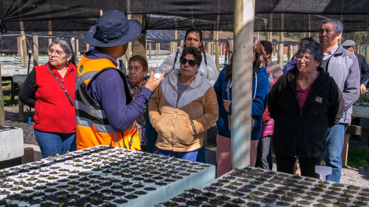 El Teniente y Junta de Vigilancia del Río Cachapoal impulsan educación ambiental en Vivero de Hacienda Cauquenes