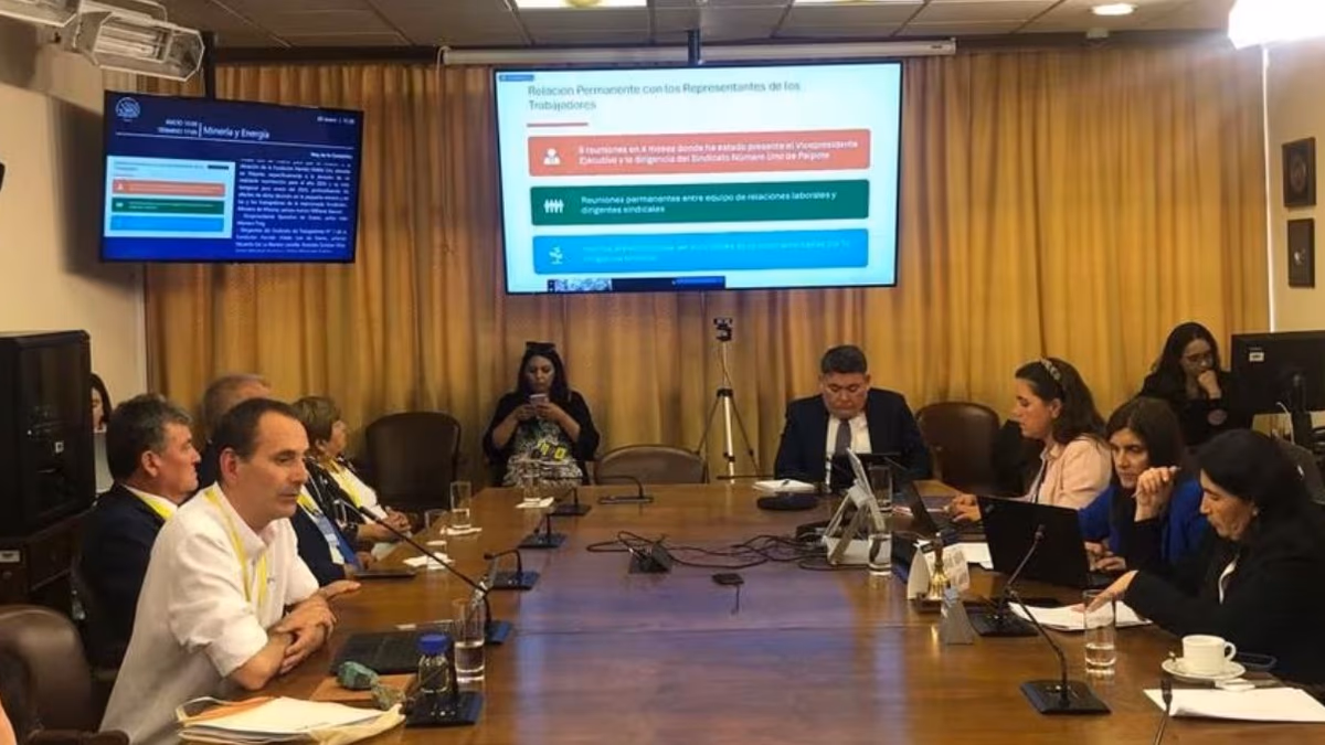 Enami pide adelantar paralización temporal de fundición Paipote
