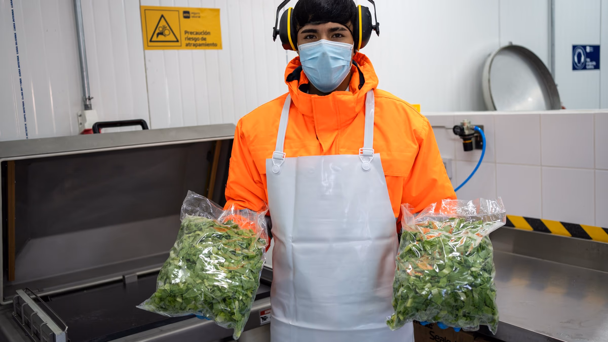 Estudiantes del Liceo de Pica integran su producción hortícola a la cadena de abastecimiento regional