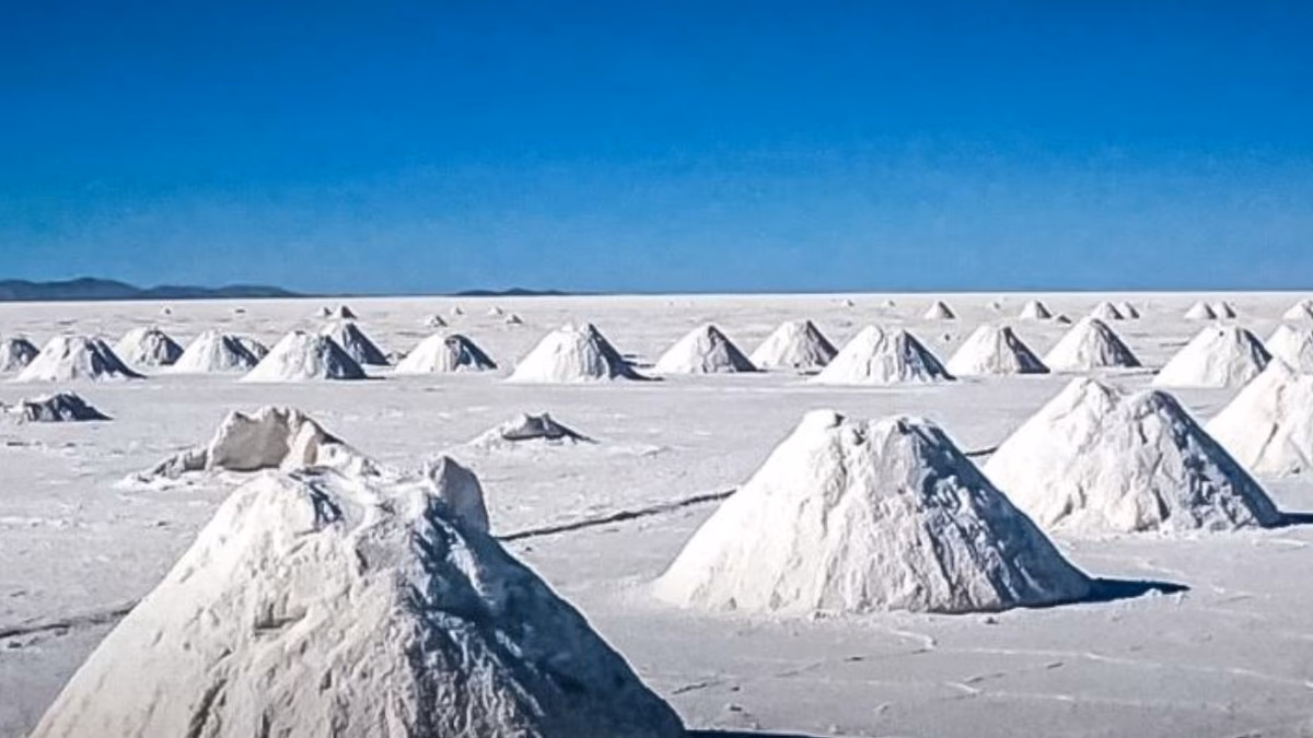 Excelentes resultados en pruebas de planta piloto de extracción de litio.