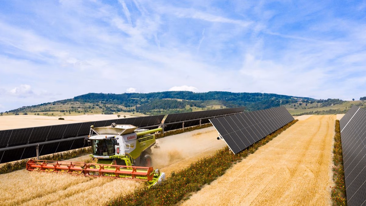 Finaliza en España el primer parque solar agrovoltaico con BayWa r.e. y Grupo VELUX
