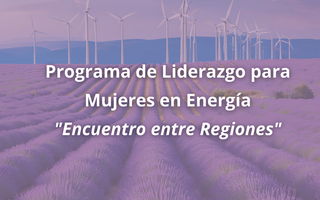 Finaliza exitoso programa piloto de mujeres líderes en la transición energética