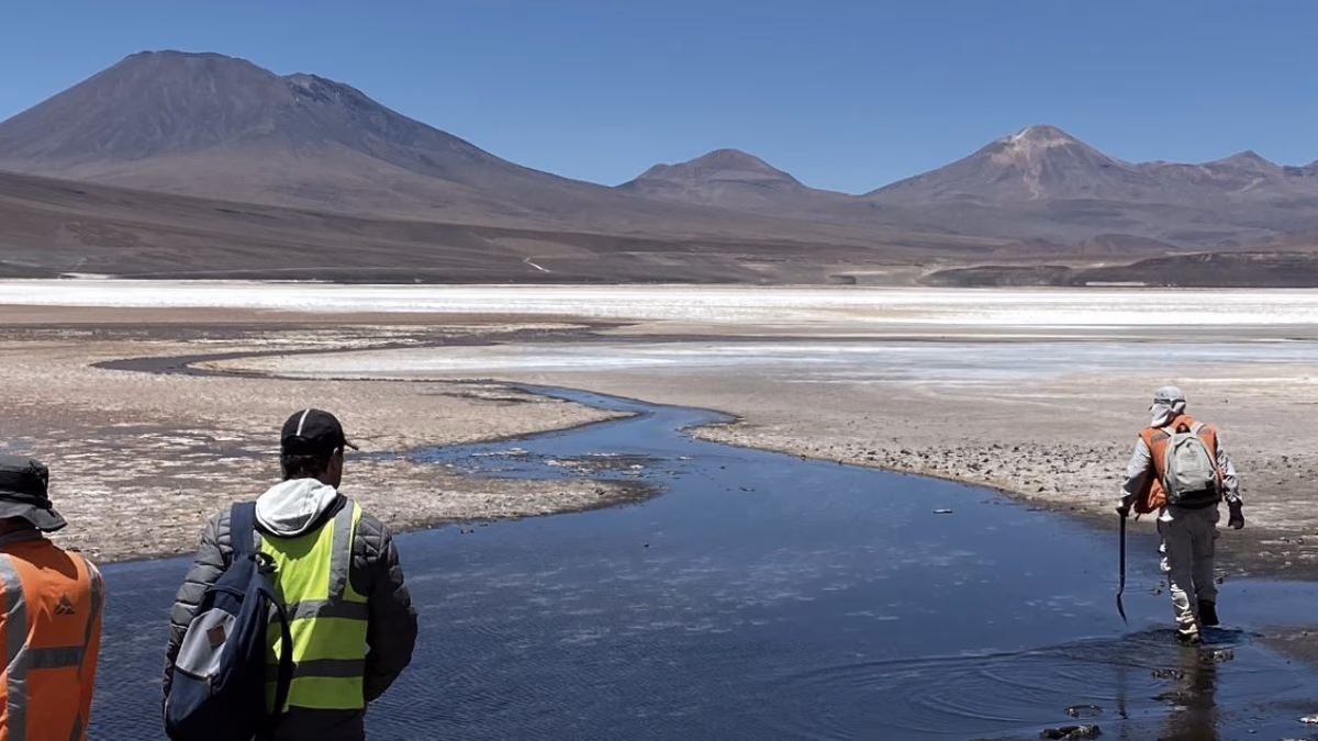 First Lithium Minerals recibe aprobación ambiental y firma acuerdo de cooperación con la comunidad indígena Cebollar-Ascotan