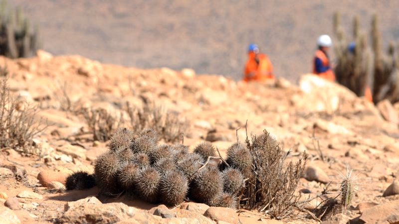 «Gaby»: Hallan depósito mineral de cobre y oro de 1 kilómetro en comuna de La Higuera