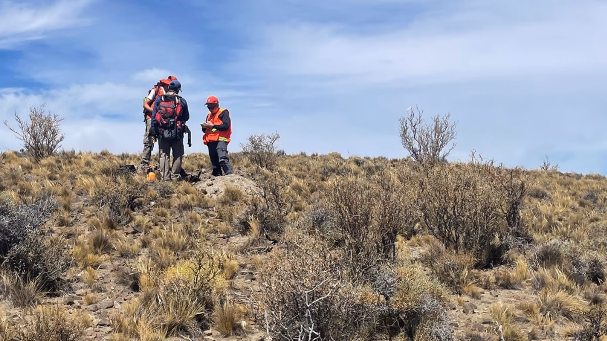 Geoquímica del suelo resalta anomalías del cobre en Polimet