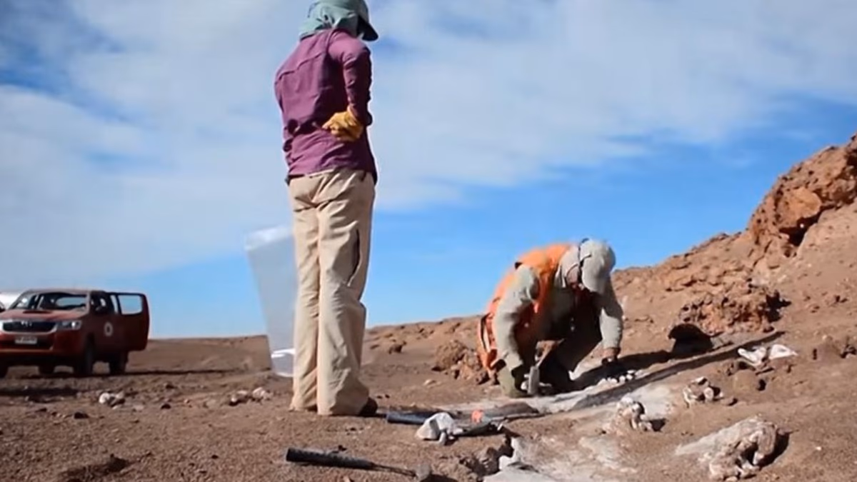 Goldstrike / Copper-X Mining anuncia pruebas metalúrgicas en el proyecto Jupiter Copper, Antofagasta, Chile