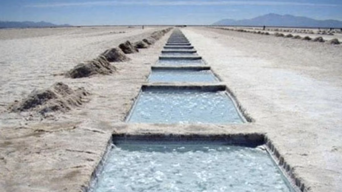 Grupo chino que construirá una planta en Mejillones también tratará ahí litio proveniente de Argentina