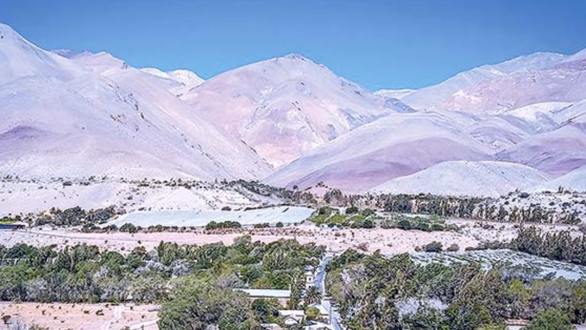 Grupo Luksic y Barrick se asocian en proyecto minero El Encierro en Alto del Carmen