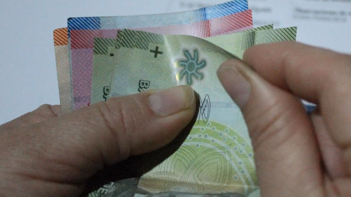 Guía Completa de Beneficios para Desempleados: Seguro de Cesantía, Fondo Solidario y Más Opciones en 2025