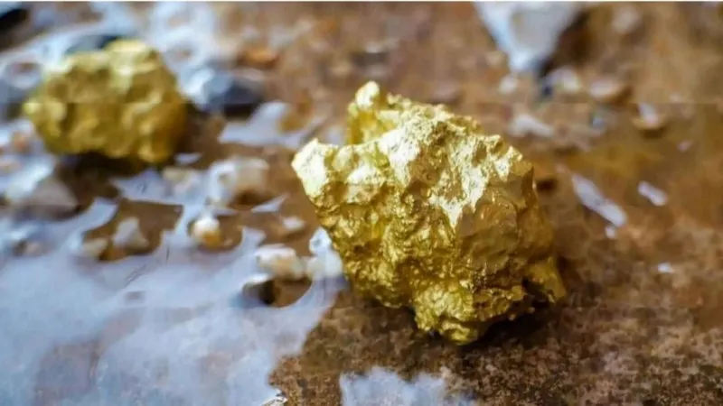 Guyana: Aris Mining anuncia resultados positivos de PEA para el proyecto de oro Toroparu