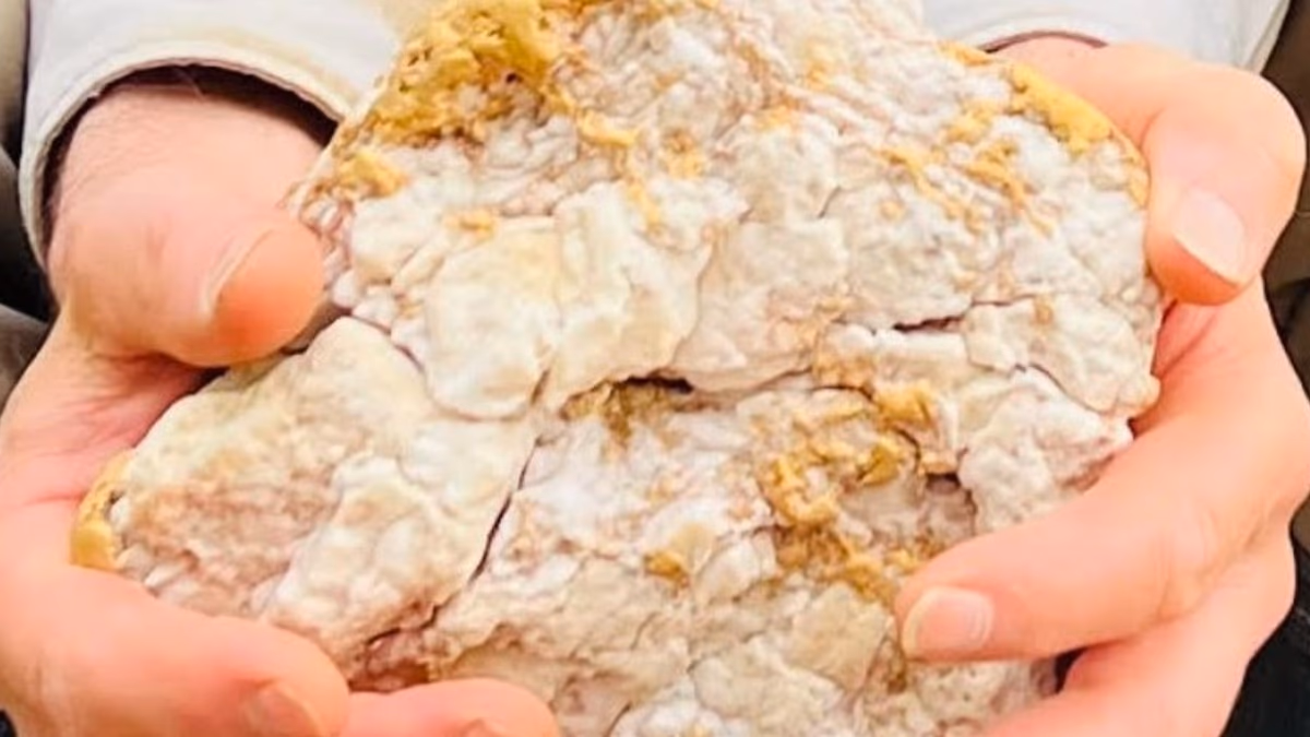 Historia de un hallazgo: “piedra sucia” y resultó ser una pepita de oro de US$160.000