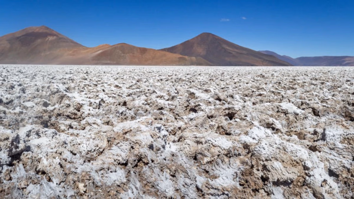 Industria del litio apuesta por el crecimiento del procesamiento downstream