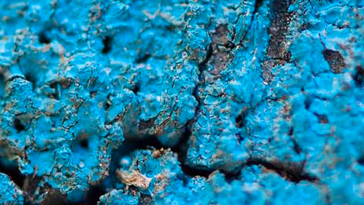 Inédito método de extracción podría convertir a Chile en el segundo productor mundial de cobalto, el “oro azul”