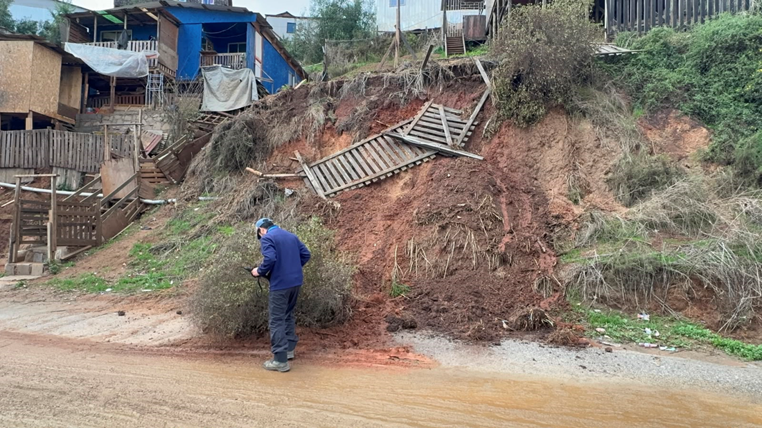inspeccion