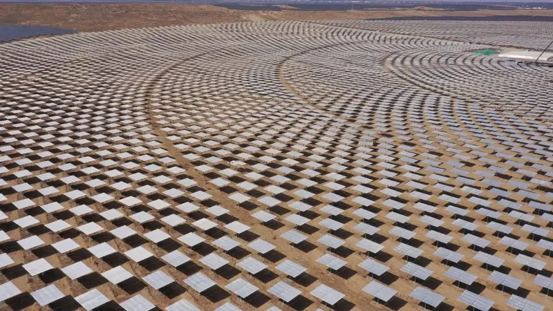 Instalaron paneles solares en desierto de China y crearon impensado microclima