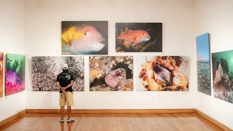 “Iquique, Mar de Campeones” supera las 3 mil 700 visitas en su primer mes en Sala de Arte Casa Collahuasi