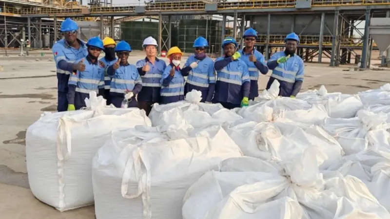 Kodal Minerals recibe permiso de exportación para litio en Malí