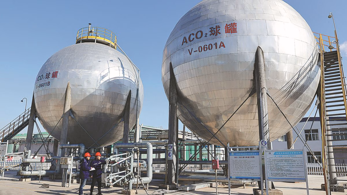 «La Captura de Carbono: Una Solución Compleja al Cambio Climático»