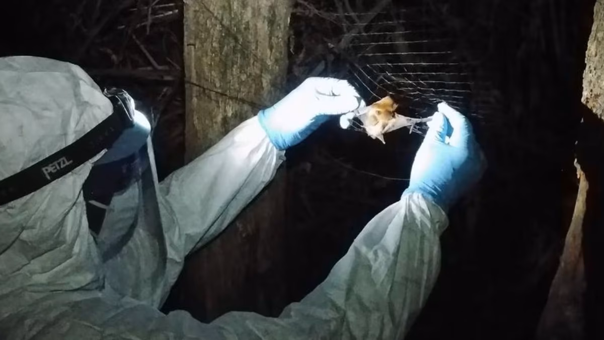 La mina de cobre de Mojiang en China donde se originó el Covid-19