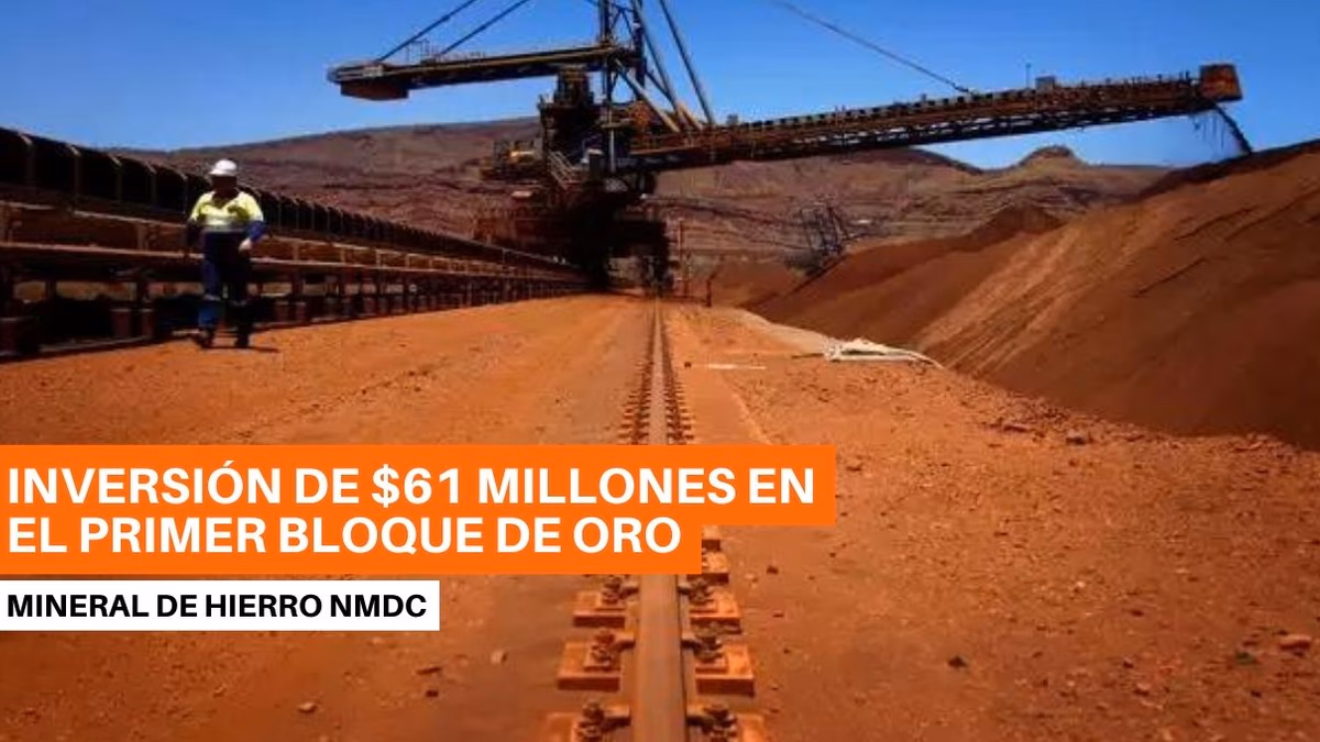 La minera estatal india NMDC planea invertir en primer bloque de oro