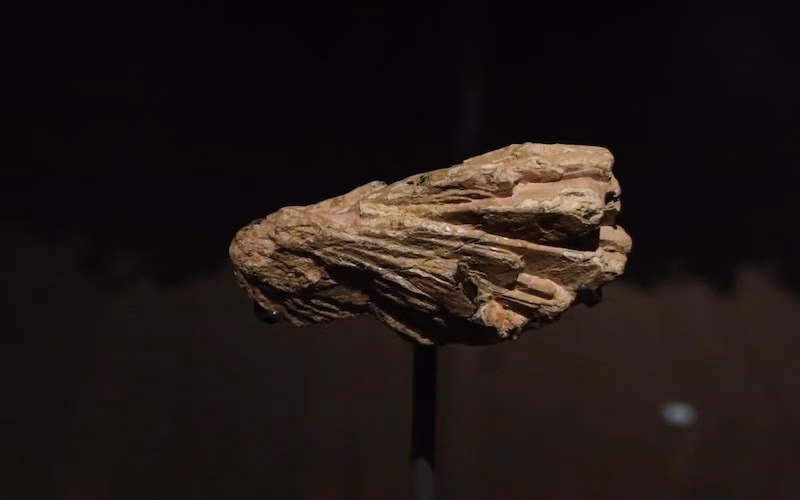 La minería electrocinética permite una recuperación ecológica y eficiente de las tierras raras